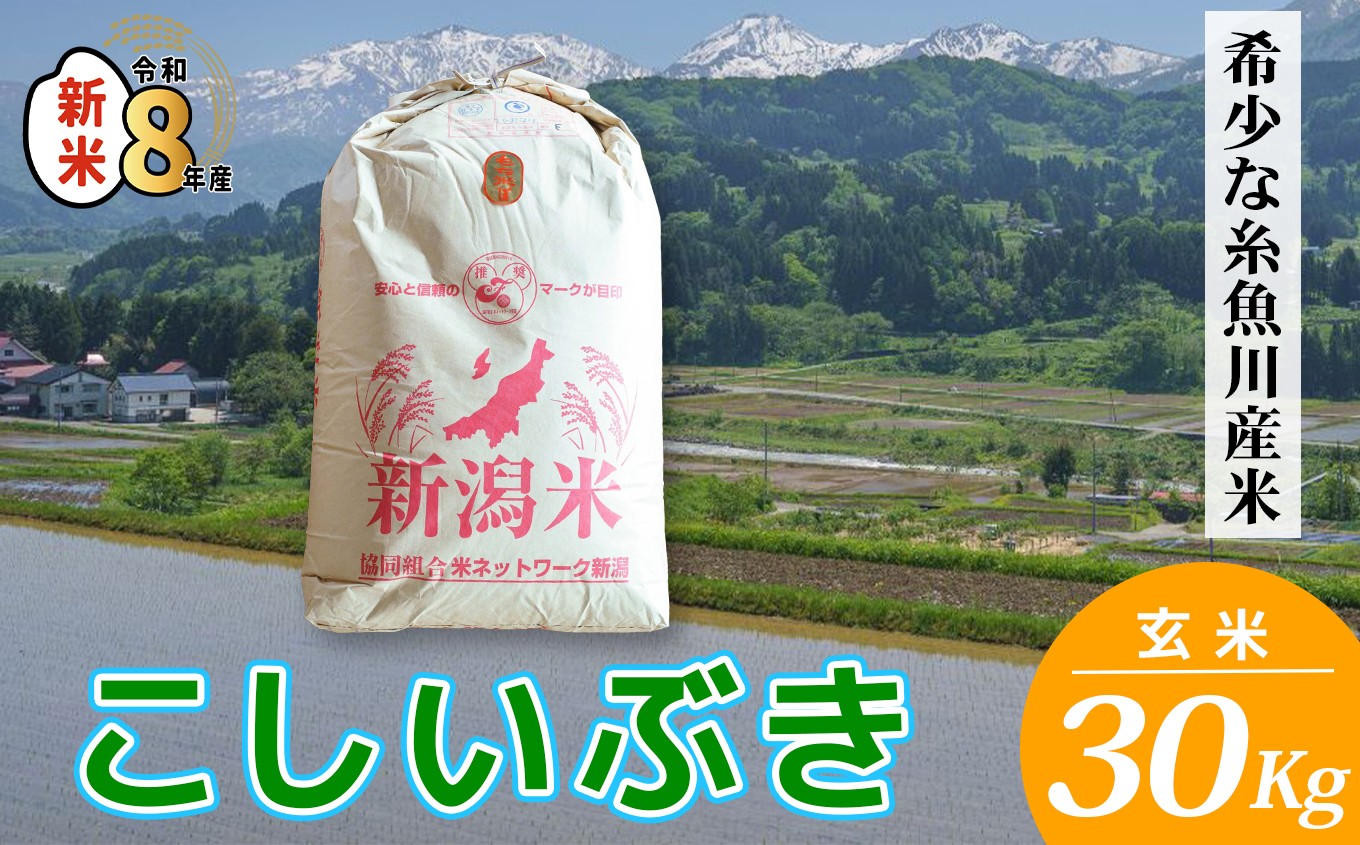 
                  【令和8年産新米】米 新潟県産 こしいぶき 玄米 30kg 2026年産 精米対応不可 木島米穀店【米 お米 玄米 米 こめ コメ こしいぶき ご飯 ライス ブランド米 新潟県 糸魚川産 2026年産 食品 人気 おすすめ 30キロ】
                