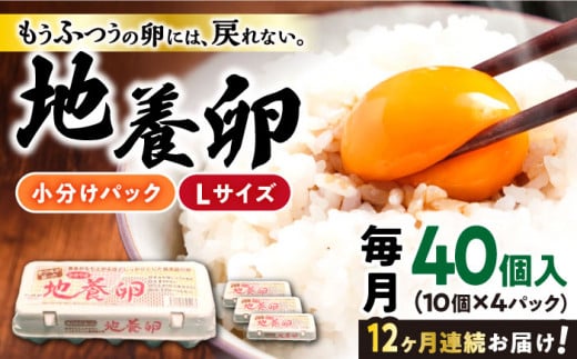 卵 【12回定期便】最高級卵 かきやまの地養卵 Lサイズ 40個 たまご tamago ＜垣山養鶏園＞ [CBB004] 長崎県 卵 お取り寄せ卵 国産 たまご tamago たまご 卵 玉子 タマゴ 鶏卵 たまごやき 卵かけご飯 卵焼き たまご 西海市産 こだわりたまご 地養卵 定期便 こだわり 赤玉 12回定期便 tamago オムライス 卵 たまご 贈答たまご ギフト 料理 定期便