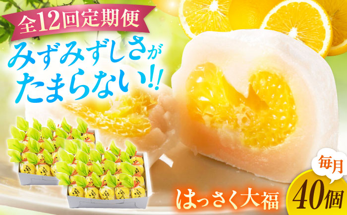 【全12回定期便】お菓子 はっさく大福20個入×2　 お菓子 大福 八朔 柑橘 みかん オレンジ 餅 ギフト お取り寄せ スイーツ フルーツ大福 ご当地 菓子 おかし デザート 食品 人気 おすすめ 