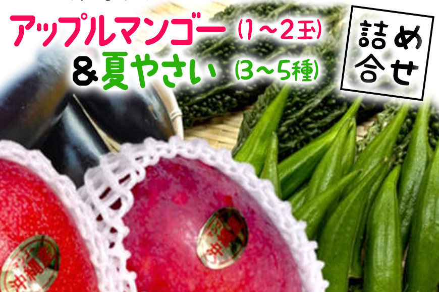 
            【 先行予約 2025年 発送 】 沖縄産 アップルマンゴー (1～2玉)& 夏野菜 (3～5種) 詰め合わせ 沖縄 野菜 フルーツ 果物 詰合せ セット お任せ マンゴー 青果 夏 旬 産地直送 農家直送 産直 沖縄県 糸満市 
          