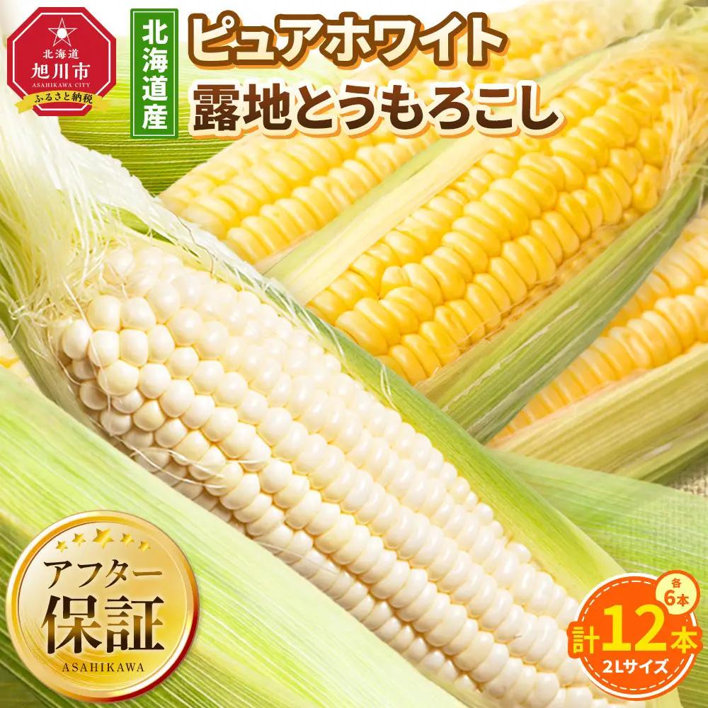 高評価★5.0【先行予約】北海道産ピュアホワイト・露地とうもろこし　計12本 2026年8月下旬から発送開始 | とうもろこし_00113