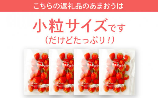 訳あり 小粒あまおう 合計約1240g 約310g×4パック【2025年2月より順次発送】