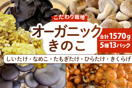 オーガニックきのこバラエティセット約1.5kg（5種13パック入）
