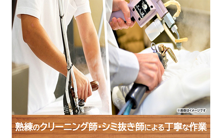 【フラットクリーニング】保管10点パック利用券