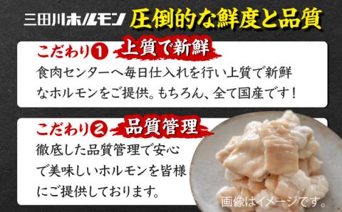 九州産もつ鍋セット(４人分)【三田川ホルモン専門店】[FAC001]