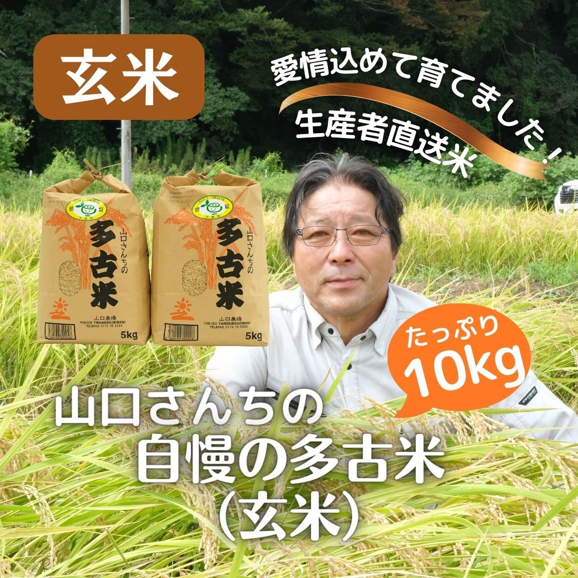 
                  山口さんちの＜令和7年産＞多古米コシヒカリ(玄米)10kg TAKF046
                