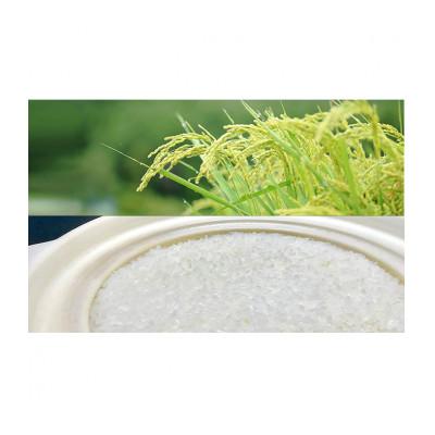 ふるさと納税 津市 むすびの黒田米 こしひかり 15キロ[53720077] |  | 02