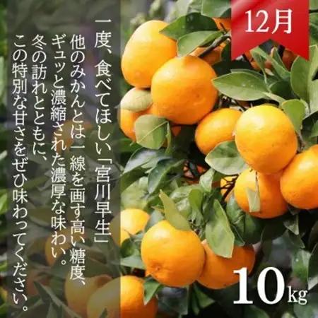 【発送月固定定期便】みかん好きに食べてほしい　2種のみかん定期便　各10kg【贈答用・秀品】全2回【4054114】