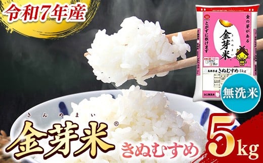 
            BG無洗米・金芽米きぬむすめ 5kg  【令和7年産 節水 健康 ビタミン ミネラル つや お弁当 おいしい うまみ 甘み ふっくら 時短 簡単  島根県 安来市】【価格改定X】
          