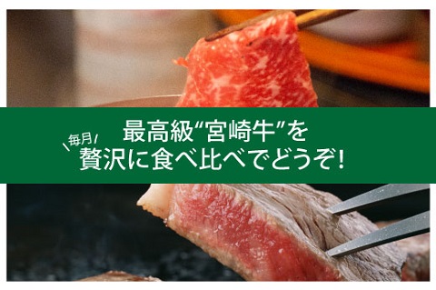 宮崎牛豪華バラエティ 計4.6kg（6か月定期便）（36-201）