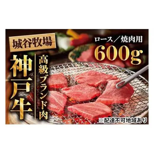 城谷牧場の神戸牛 ロース 焼肉 600g 国産牛 和牛 神戸ビーフ バーベキュー BBQ 冷凍