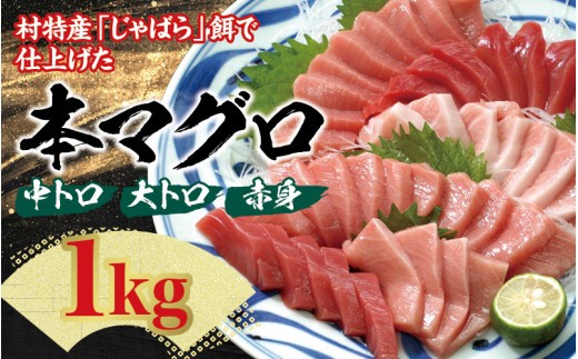 【1ヶ月以内に発送】本マグロ（養殖）トロ＆赤身セット 1kg【配達日指定不可】 / まぐろ 鮪 とろ 赤身 魚介 海鮮 魚 本マグロ【nks105B】