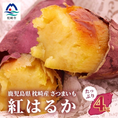 
                  紅はるか ＜4キロ＞ 野菜 サツマイモ さつまいも A3-24 _ 芋 さつま芋 鹿児島 焼き芋 【1167017】
                