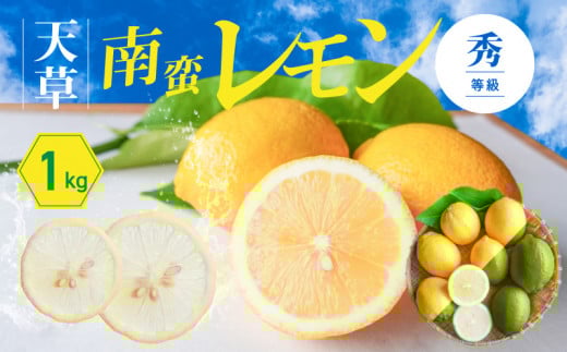 S131-001_天草南蛮レモン　等級「秀」1kg