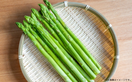 【夏採り】 グリーンアスパラ 1.5kg（L～3L）旬の採れたて 北海道 佐呂間産 （2026年7月出荷開始先行予約） SRMM005