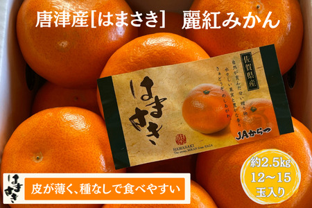 【先行予約】佐賀みかん 唐津産【はまさき】麗紅みかん 佐賀県 佐賀市 さがみかん ブランドみかん タンゴール 種なし 佐賀みかん 化粧箱入り 贈答 贈り物 お歳暮 フルーツ 果物 柑橘 ダイニング佐賀：B210-021