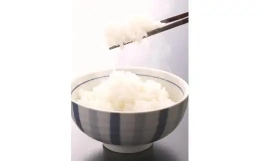 米 にじのきらめき 和歌山県産 5kg（2025年産）  産地直送 米 こめ ご飯 ごはん ※2024年9月25日以降順次発送予定 （お届け日指定不可）【sml400-niji-5】