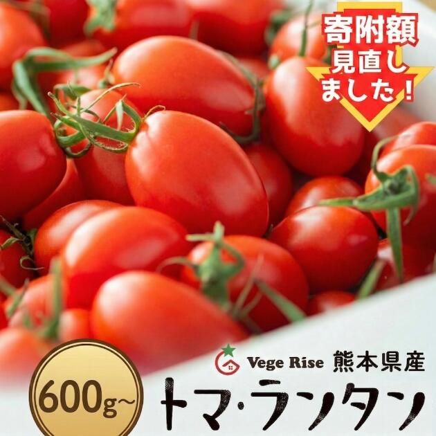 【ふるさと納税】 通常7日以内発送 トマト ミニトマト トマランタン トマ・ランタン VegeRise | 600g 1kg 1.5kg 2kg 3kg 4kg 贈答用 野菜 やさい とまと プチトマト 熊本県 玉名市 送料無料
