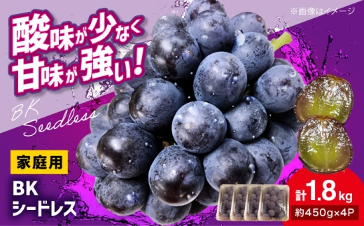 【2026年先行予約】＜9月中旬から順次発送＞ぶどう BKシードレス 計1.8kg（約450g×4パック）家庭用 粒入り ブドウ 種なし 種無し 訳あり 粒 小房 パック 美味しい 巨峰 ベリーA ご褒美 濃厚 コク甘 甘い フルーツ 果物 果実 家族 大容量 広島 三次 産地直送 農薬低減 安心 広島ブランド 認証 特別栽培 農家 農業体験 旬の味覚 三次市 / 辰巳農園 [APCR002]