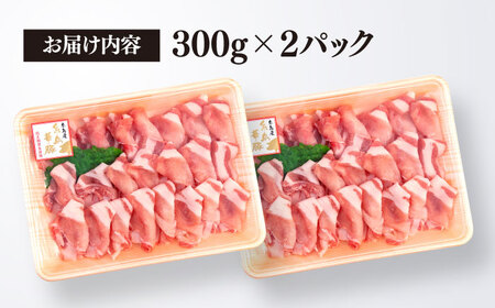 糸島華豚ロース肉しゃぶしゃぶ用600g《糸島》【糸島ミートデリ工房】 [ACA091] 豚肉 豚ロース 赤身肉 小分け しゃぶしゃぶ 鍋 切り落とし 華豚