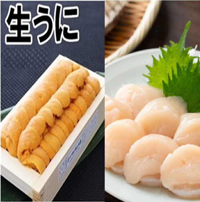 【ふるさと納税】エゾバフンウニ140g×1折、お刺身ホタテ貝柱500g×1P[2026年1月中旬以降発送] D-71040