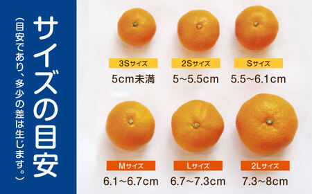 伊木力みかん 5kg AHCF002 みかん
