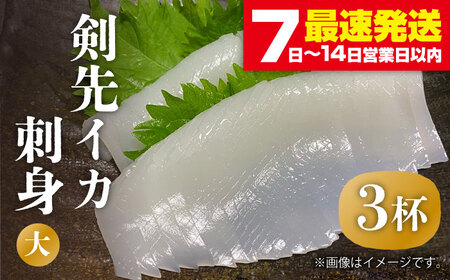 剣先イカ 刺身 （大） 3杯[JEW004] イカ