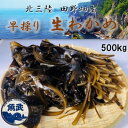 【ふるさと納税】【期間限定】早採り生わかめ 500g【配送不可地域：離島・沖縄県・九州】【1540789】