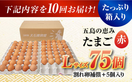 【10回定期便】【箱入り】五島の恵みたまご Lサイズ 75個入 / 卵 赤玉子五島市 / 五島列島大石養鶏場[PFQ019]  玉子 タマゴ 鶏卵 希少 五島列島