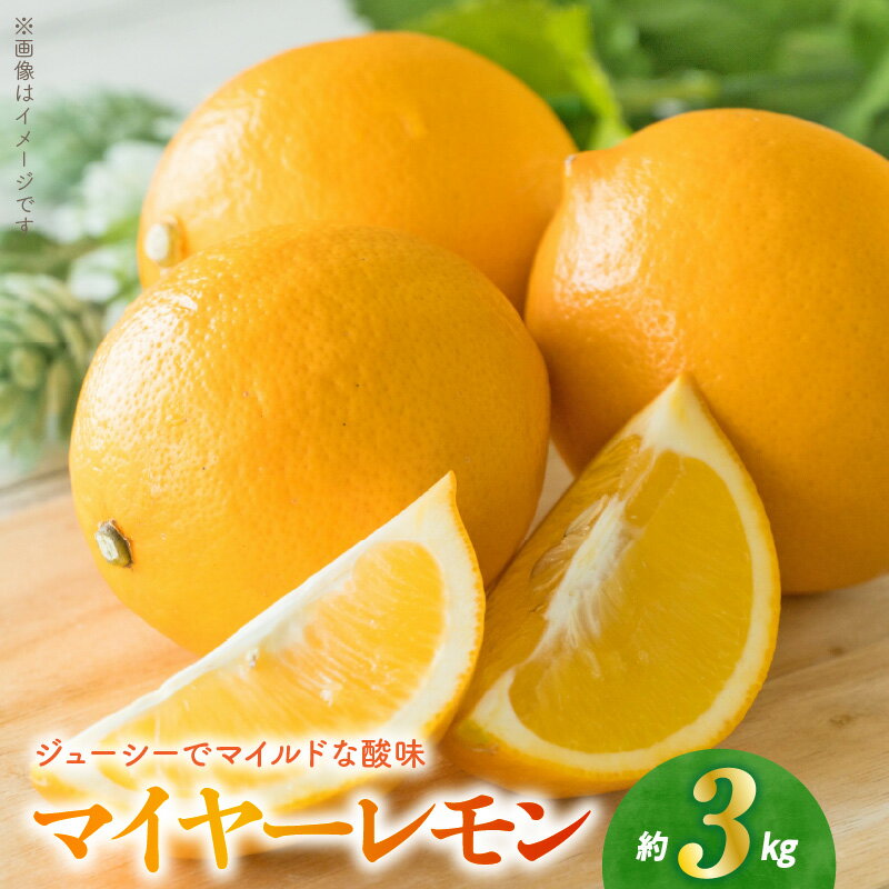 【ふるさと納税】マイヤーレモン 3kg 糖度 9度前後 マイルド 酸味 果汁 ジューシー レモン みかん 自然交配種 グリーン 黄色 変化 果皮 オレンジ お取り寄せ お取り寄せフルーツ 柑橘類 食品 果実 福島オレンジ農園 送料無料【熊本県宇土市】