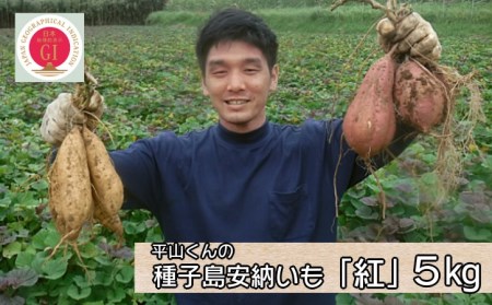 【先行予約】種子島 安納いも 平山農園「 紅 」(Mサイズ) 5kg　NFN451【350pt】 