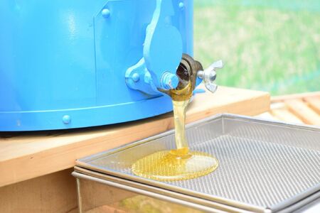 恵那農高生と開発!季節の里山蜂蜜セット[AUBP001]はちみつ