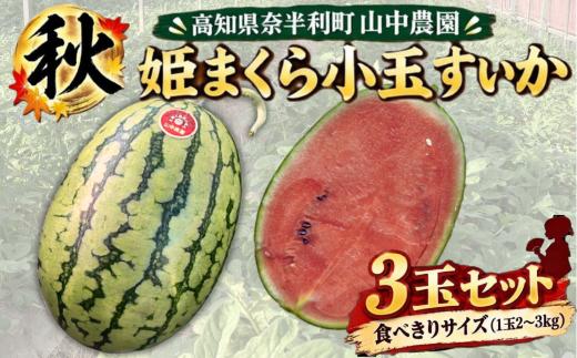 
                  103005 山中農園の小玉スイカ３玉 姫まくら【10月下旬～発送】選べる 1玉 2玉 3玉 フルーツ 季節限定 秋 産地直送 完熟 甘い こだま 西瓜 すいか 山中農園/高知県 奈半利町 
                