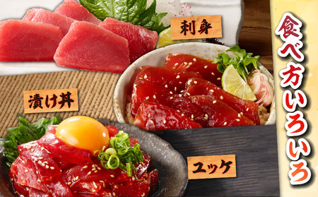目鉢鮪 天身 2kg M081-011 冷凍 マグロ