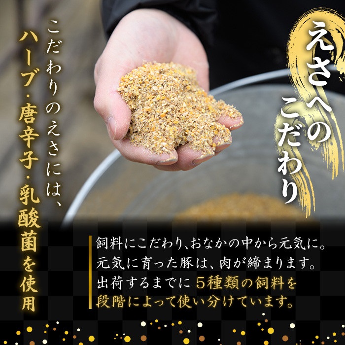 鹿屋産さかし豚　ちょっと贅沢肩ロースミンチ　3kg