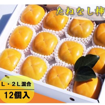 ふるさと納税 橋本市 柿【先行受付】柳フルーツ園 たねなし柿 (12個 箱入り) ギフトにも最適!