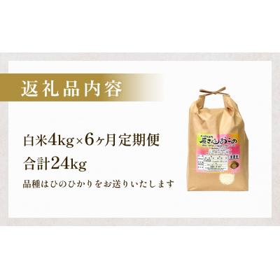 ふるさと納税 玖珠町 【令和8年産米先行受付】原さんちのお米 白米 4kg ヒノヒカリ 6回定期便 米 お米 |  | 03