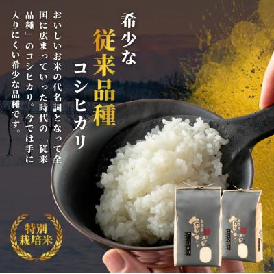 ふるさと納税 小千谷市 【先行予約 10月下旬頃発送】 令和8年産 昔ながらの魚沼産コシヒカリ 精米 2kg2袋 農園ビギン |  | 01