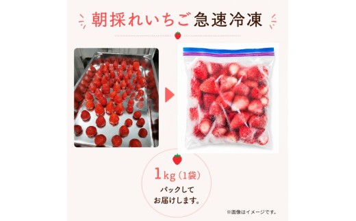 1kgパック