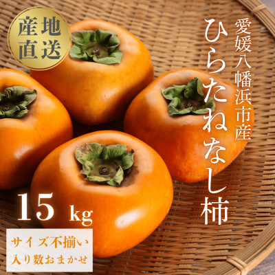 《秋の味覚 種なしで食べやすい》 ひらたねなし柿 15kg (7.5kg×2箱)【H20−40】【1594098】