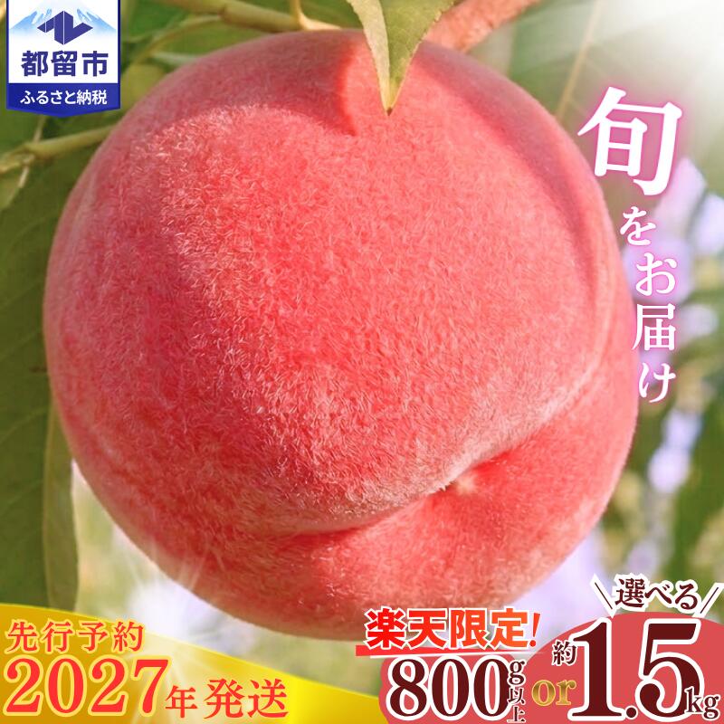 【ふるさと納税】 【2027年 先行予約】 山梨県都留市産 朝採れ桃 選べる容量 800g以上 or 1.5kg 山梨県産 白鳳 白桃《2027年7月-8月頃出荷》 朝採れ まずはお試し 産地直送 品種おまかせ もも モモ 数量限定 期間限定 クール便 フルーツ ピーチ 食べきり 送料無料