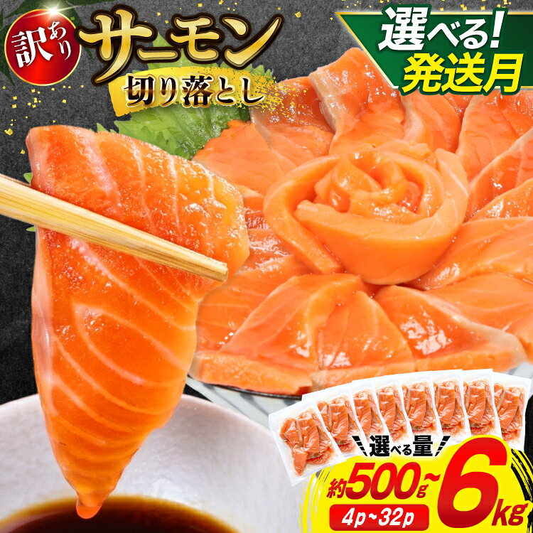 訳あり サーモン 切り落とし おさしみ用 1kg 125gx8p [足利本店 宮城県 気仙沼市 20563016] 鮭 お刺し身 刺し身 個包装 チリ銀鮭 銀鮭 海鮮 魚介類 海鮮丼 魚介