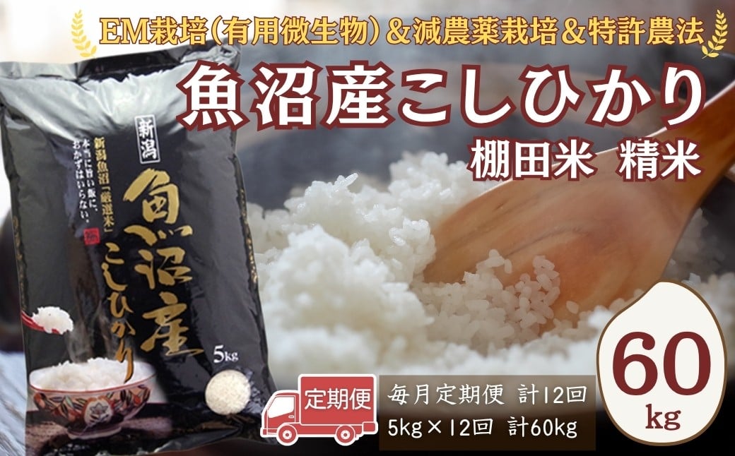
                  【令和7年産】農家直送の棚田米 魚沼産コシヒカリ 精米 合計60kg 定期便 5kg×12回(毎月お届け) 佐藤農場 | 新潟県産 コシヒカリ お米 米 おこめ こめ コメ こしひかり 魚沼産 ブランド米【0018-0023DB00-02】
                