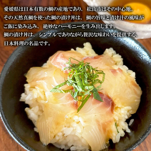 漬け丼 鯛めし 漬け丼 50g × 10 【AIS001】