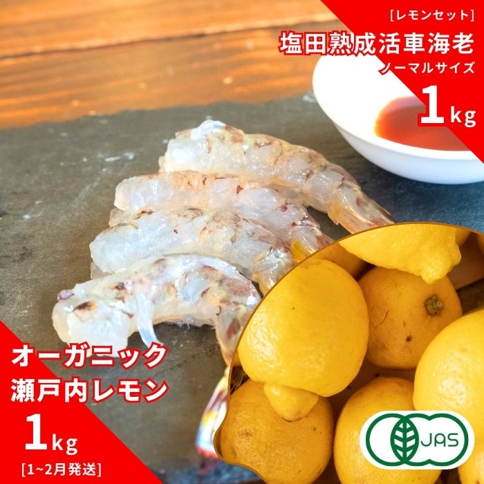 【ふるさと納税】オーガニック瀬戸内レモン 1kg(1~2月発送) / 塩田熟成活車海老 ノーマルサイズ 1kg(11~2月) オーガニック 有機レモン 有機JAS 果汁100% レモン えび エビ エビフライ 晩酌 国産 瀬戸内 濃厚 免疫力向上 健康 ビタミンC クエン酸 抗酸化 ソーダ 炭酸水