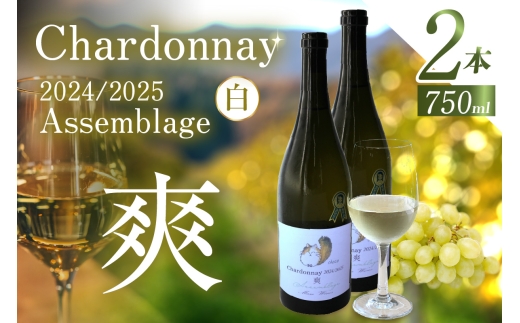Chardonnay 2024/2025 爽 Assemblage 750ml・2本｜シャルドネ 白ワイン 無添加 無濾過 国産 日本ワイン 愛知県 東浦町