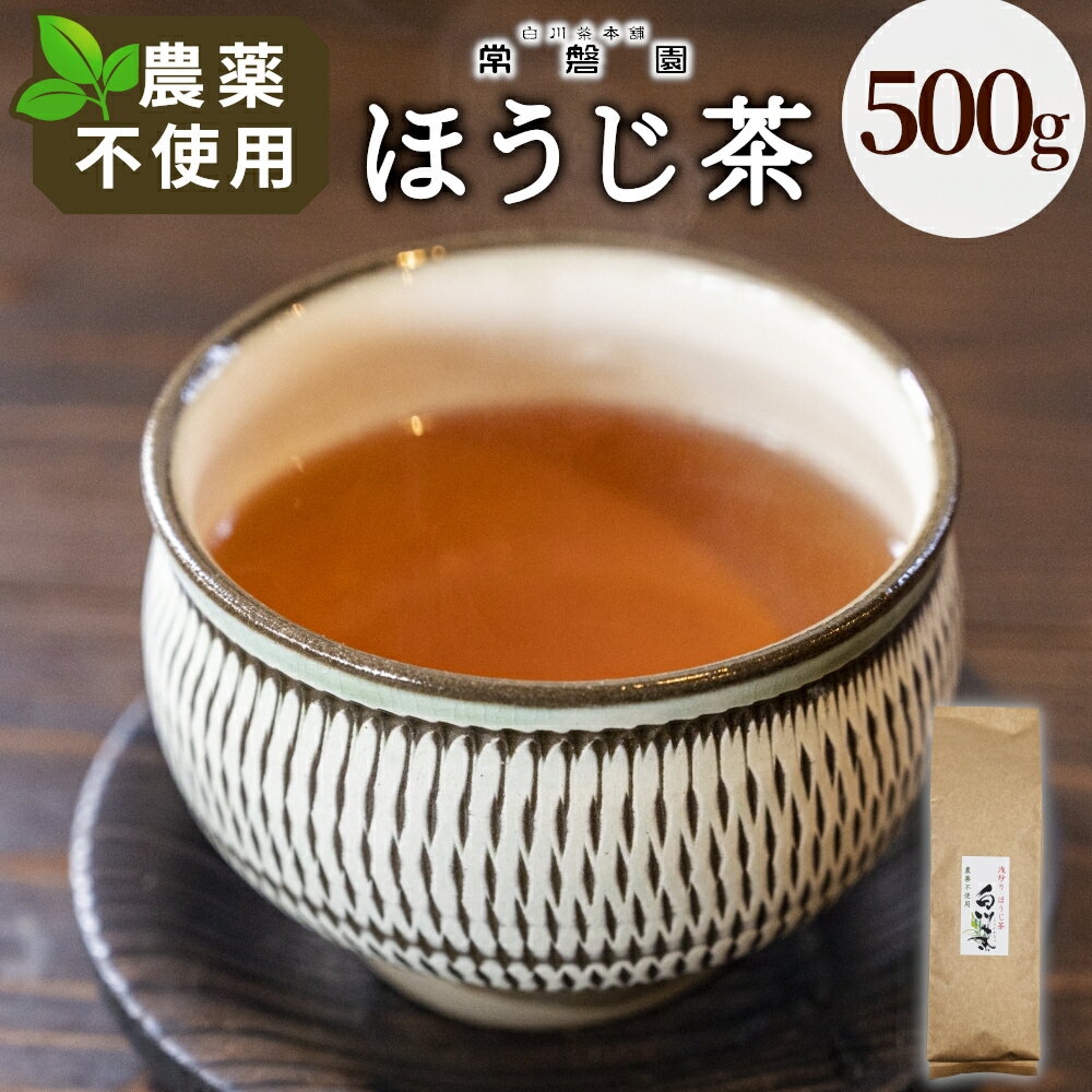 【ふるさと納税】農薬不使用！浅炒りほうじ茶 500g 常磐園 ほうじ茶 浅炒り 日本茶 緑茶 煎茶 茶葉 白川茶 美濃白川茶 農薬不使用栽培茶 お茶 一番茶 春摘み 大容量 岐阜県 東白川村 お取り寄せ