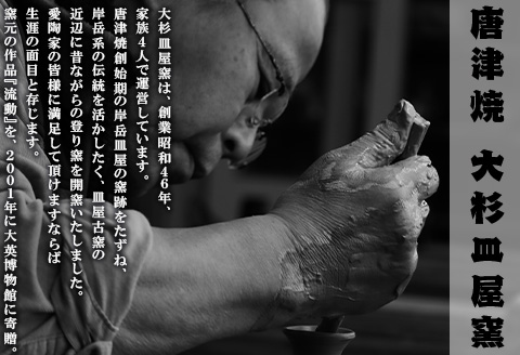 唐津焼 織部唐津 急須(水引) 茶こし付き 茶器 きゅうす 日本茶 緑茶 ティーポット 食器 ギフト