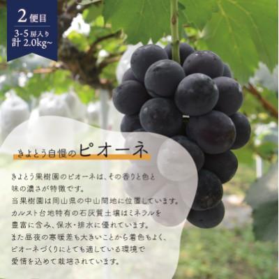 ふるさと納税 真庭市 【発送月固定定期便】【2026年先行予約】桃、ピオーネ、シャインマスカット定期便 (岡山県産)全3回 |  | 02