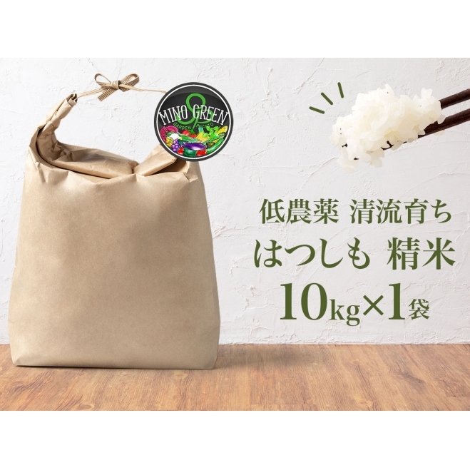 ＜先行予約＞令和8年産 はつしも 精米 10kg×1袋 低農薬 清流育ち 新米 お米 白米 米 ごはん 米 ご飯 ハツシモ R8年産 あっさり ふっくら ブランド米 大粒 幻の米 お取り寄せ 産地直送
